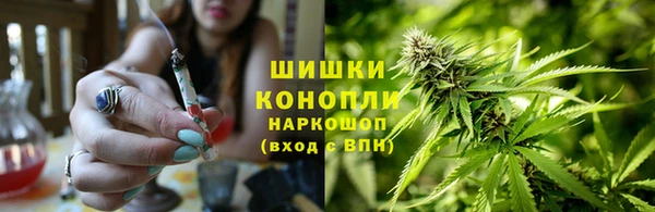 PSILOCYBIN Абдулино